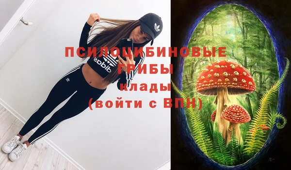 МДМА Горняк