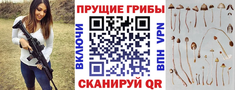 Купить где  Таруса  Галлюциногенные грибы мухоморы 