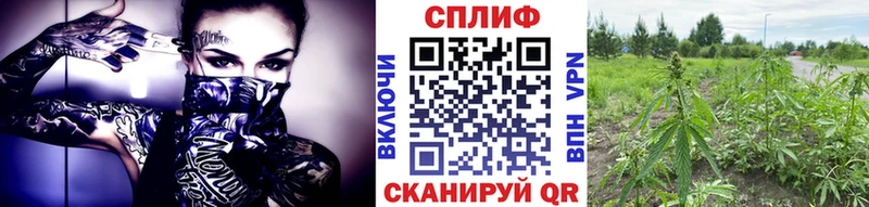 Марихуана семена  Купить  Таруса 